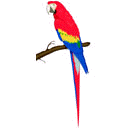 Click Here