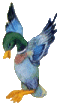 Click Here