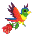 Click Here