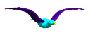 Click Here