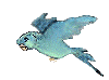 Click Here