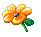Click Here